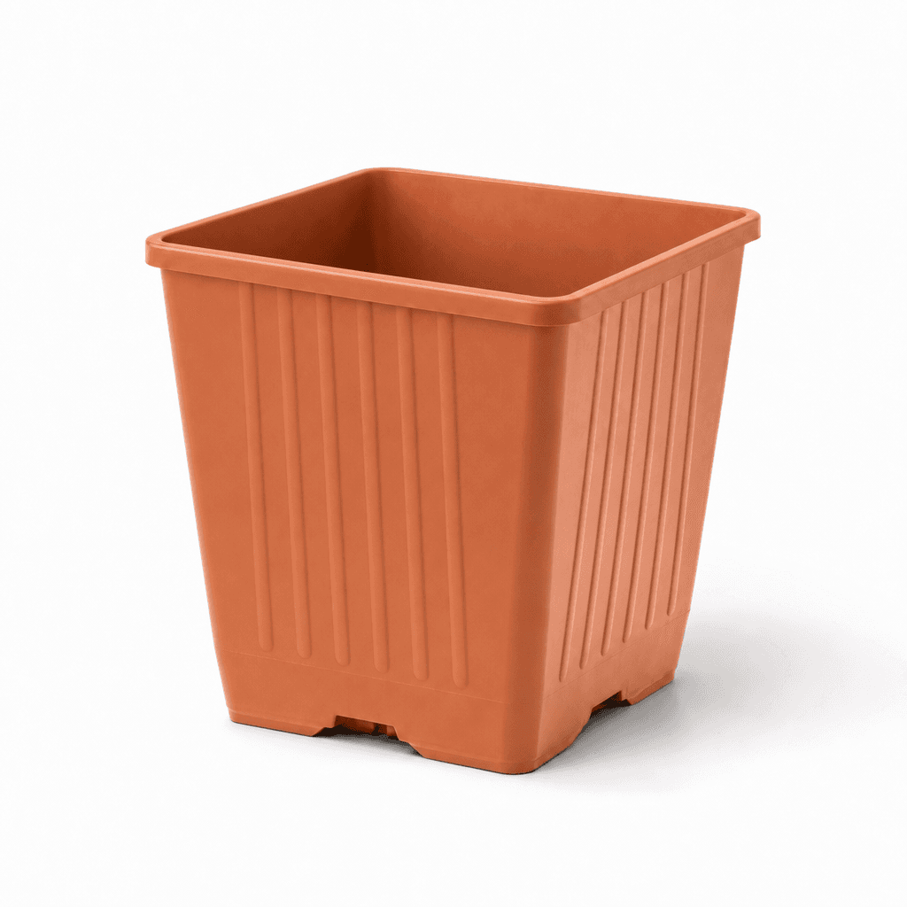 Terrakotta